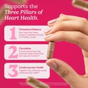 santo-remedio-cholesterol-plus-with-red--5.jpg