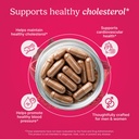 santo-remedio-cholesterol-plus-with-red--3.jpg