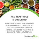 naturesplus-red-yeast-rice-gugulipid-60--2.jpg