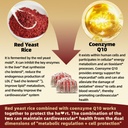 sea-moss-red-yeast-rice-with-coq10-gummi-2.jpg