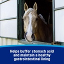 farnam-gastric-health-pellets-daily-gut--5.jpg