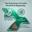 potency-gut-drainage-stay-healthy-3.jpg