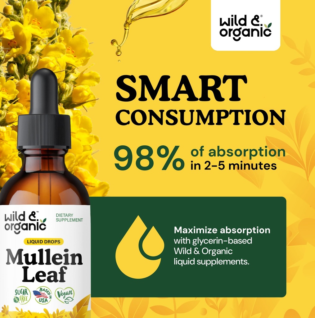 wild-organic-mullein-drops-for-lungs-det-4.jpg