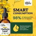 wild-organic-mullein-drops-for-lungs-det-4.jpg