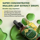 gpgp-greenpeople-mullein-leaf-drops-with-6.jpg
