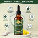 gpgp-greenpeople-mullein-leaf-drops-with-4.jpg