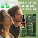 gpgp-greenpeople-mullein-leaf-drops-with-3.jpg
