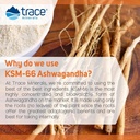 trace-minerals-ashwagandha-gummy-60-gumm-6.jpg
