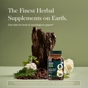 gaia-herbs-lion-s-mane-mushroom-brain-ne-4.jpg