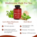real-mushrooms-realclarity-60ct-lions-ma-5.jpg