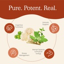 real-mushrooms-realclarity-60ct-and-cord-4.jpg
