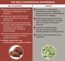 real-mushrooms-realclarity-60ct-and-reis-6.jpg