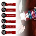 cachexia-supplement-usda-certified-organ-4.jpg