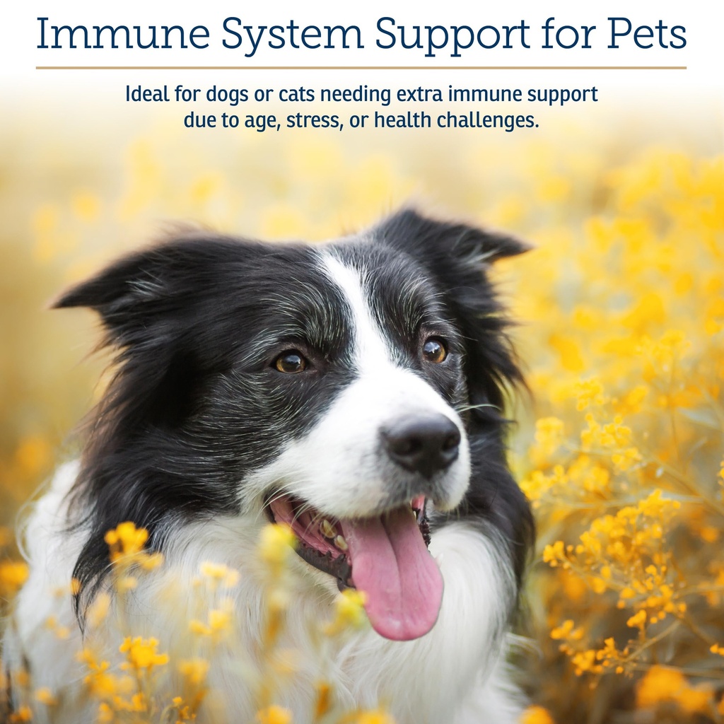 rx-vitamins-glucamune-immune-support-sup-2.jpg