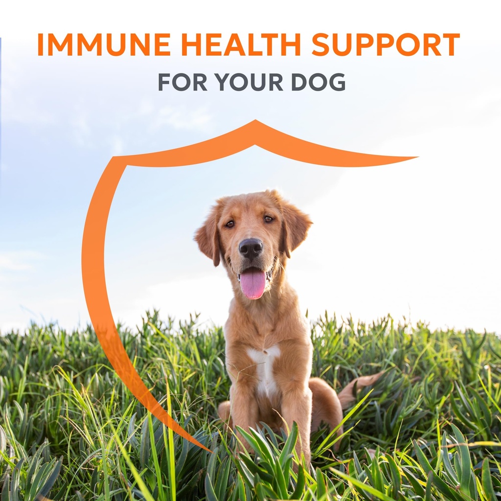 nutramax-laboratories-nutramax-imuquin-i-2.jpg