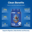 birdman-falcon-vegan-protein-powder-orga-3.jpg
