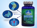 arctic-star-sea-cucumber-capsules-natura-4.jpg