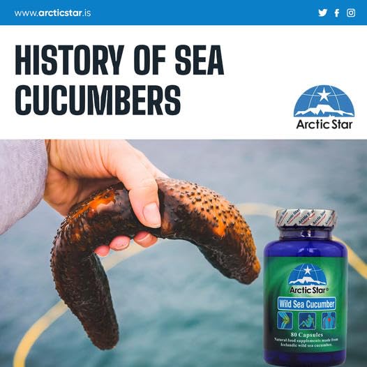 arctic-star-sea-cucumber-capsules-natura-6.jpg