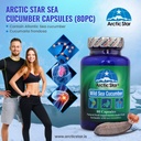 arctic-star-sea-cucumber-capsules-natura-5.jpg