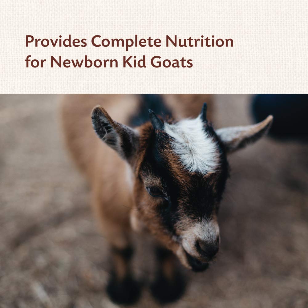 manna-pro-goat-kid-colostrum-supplement--4.jpg