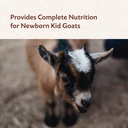manna-pro-goat-kid-colostrum-supplement--4.jpg