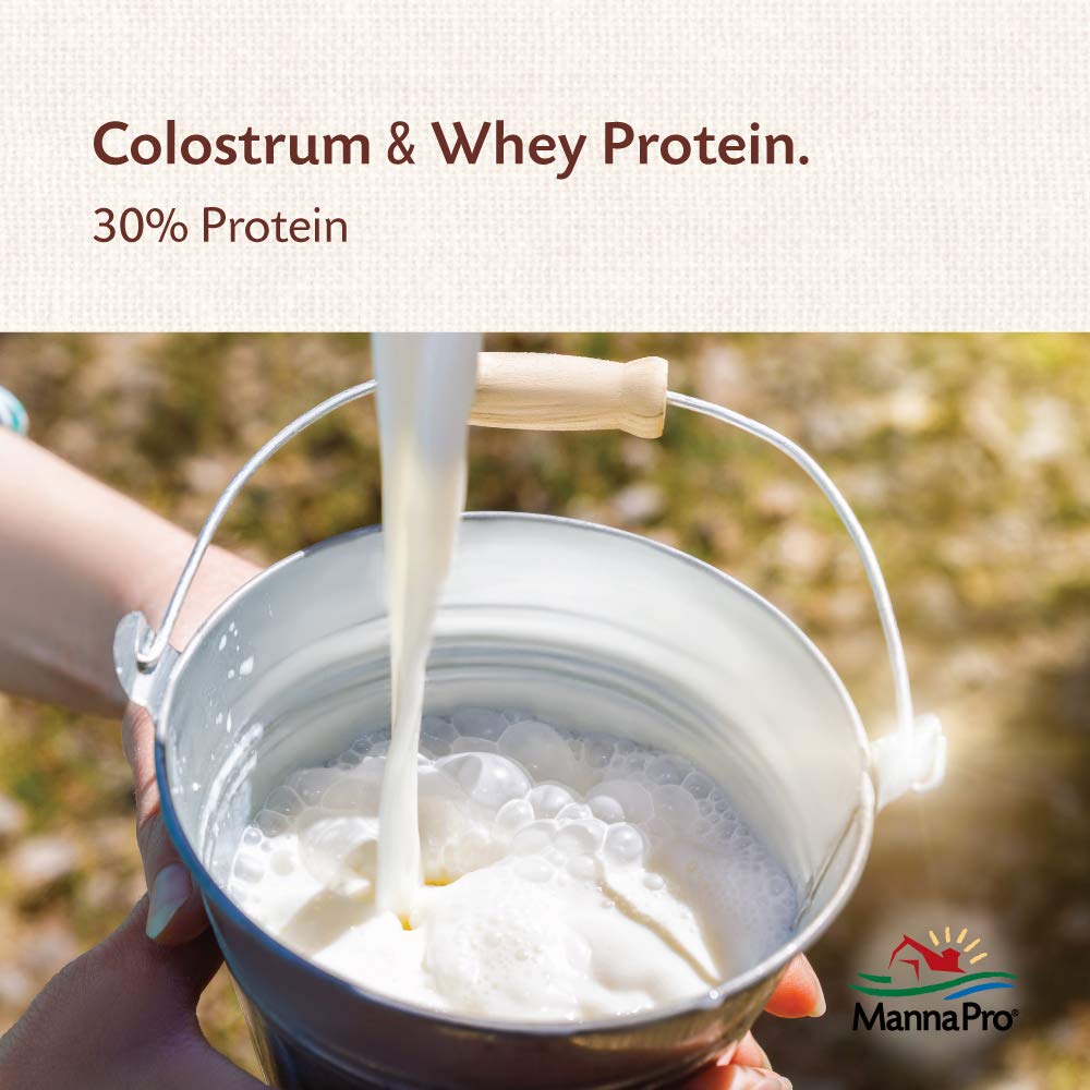 manna-pro-goat-kid-colostrum-supplement--5.jpg