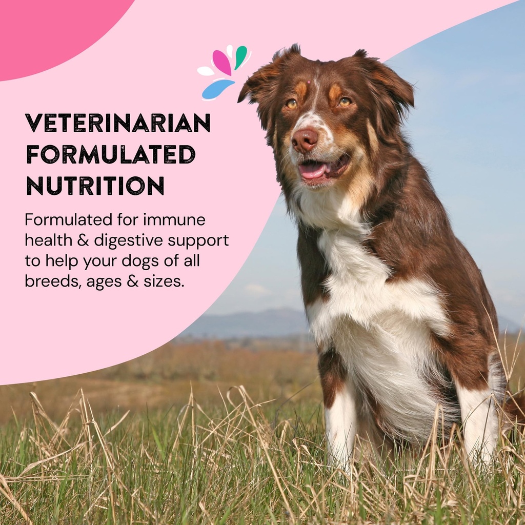 hip-joint-supplements-for-dogs-helps-joi-6.jpg