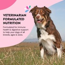 hip-joint-supplements-for-dogs-helps-joi-6.jpg