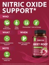 bundle-beet-root-circulation-and-heart-h-5.jpg