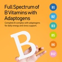 nanowell-b-complex-premium-full-spectrum-4.jpg