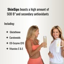 skin-health-energy-boost-drink-mix-sugar-5.jpg