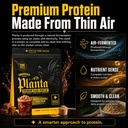 ambrosia-plant-based-protein-powder-20g--3.jpg