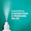 vicks-sinex-severe-nasal-spray-original--2.jpg