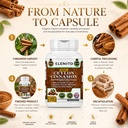 ceylon-cinnamon-capsules-1200mg-pure-org-6.jpg