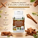 ceylon-cinnamon-capsules-1200mg-pure-org-3.jpg