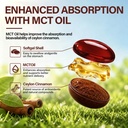 ceylon-cinnamon-softgels-with-mct-oil-sr-6.jpg