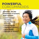 nature-s-life-turmeric-ginger-joint-ease-2.jpg