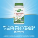 nature-s-way-chamomile-flower-traditiona-4.jpg