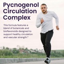 healthy-origins-pycnogenol-circulation-c-4.jpg