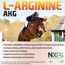 l-arginine-akg-boosts-performance-muscle-3.jpg