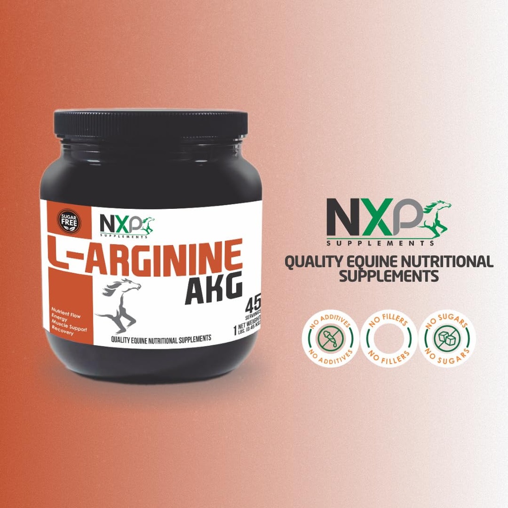 l-arginine-akg-boosts-performance-muscle-5.jpg