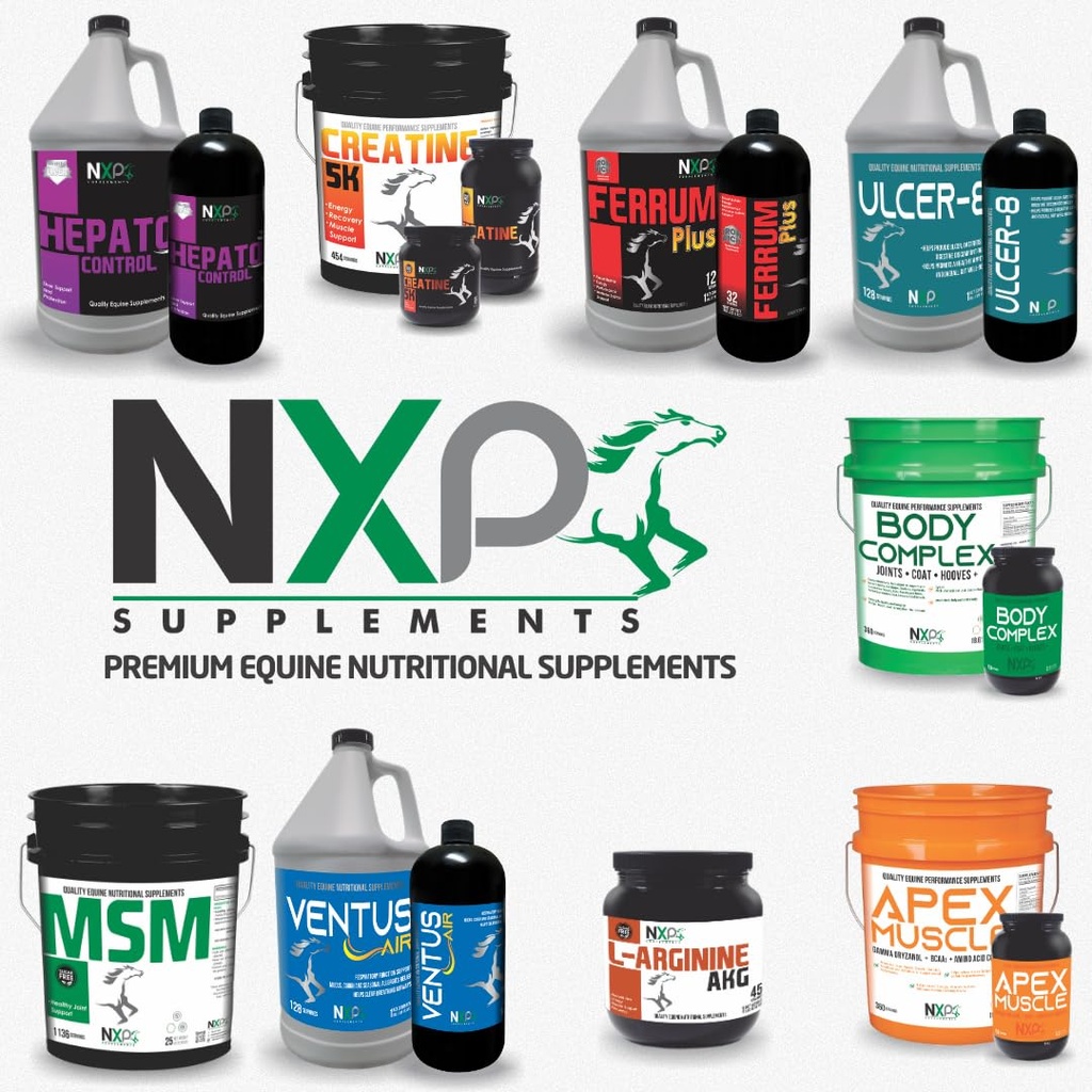 l-arginine-akg-boosts-performance-muscle-6.jpg