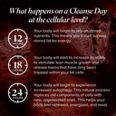 isagenix-cleanse-for-life-powder-supplem-3.jpg