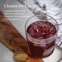 isagenix-cleanse-for-life-powder-supplem-6.jpg