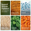 feel-goods-digestion-gut-health-organic--6.jpg