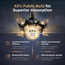 himalayan-highland-gold-grade-shilajit-1-4.jpg