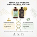 herbal-connections-shilajit-moringa-bitt-3.jpg