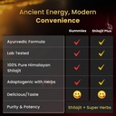 pure-shilajit-wellness-bundle-gold-grade-2.jpg