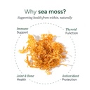 root-labs-10-in-1-alpha-sea-moss-gummies-5.jpg