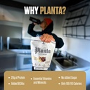 ambrosia-plant-based-protein-powder-20g--4.jpg